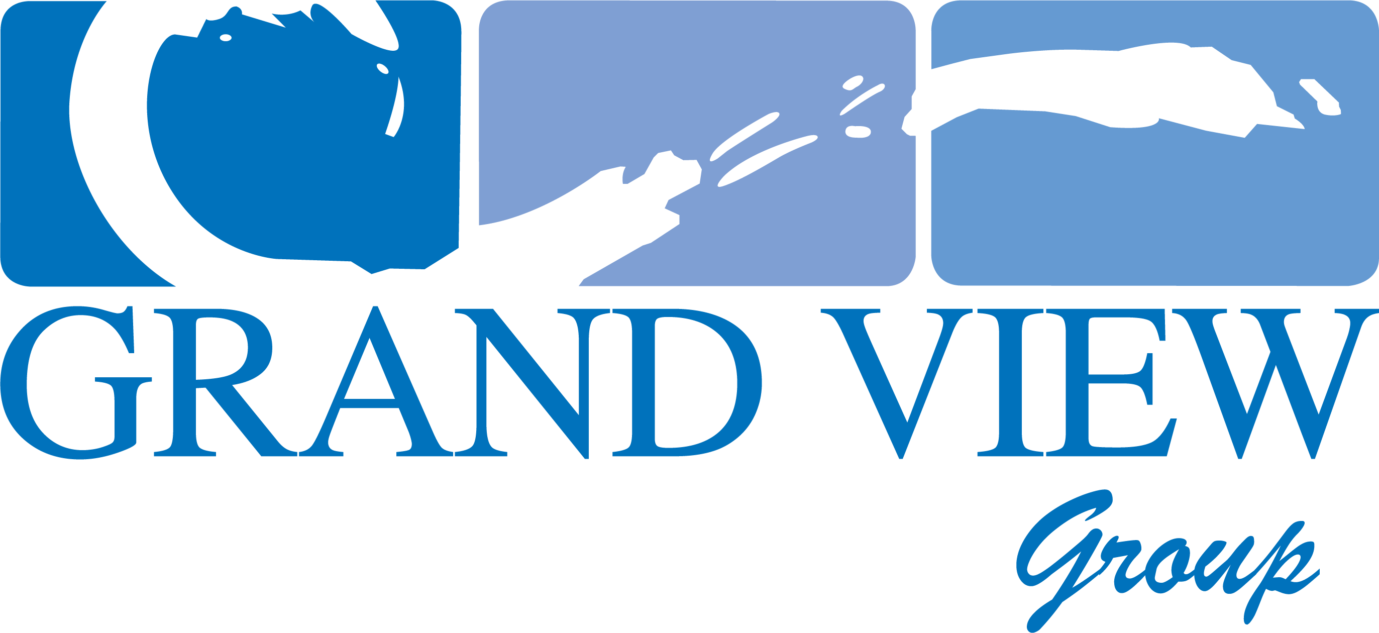 Grand View Group